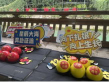 1783500818315376.png image.png
